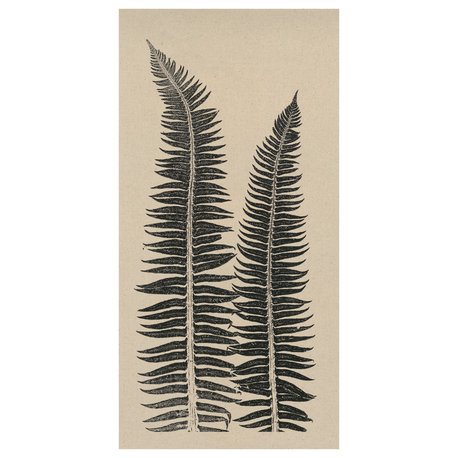 Cocoa Ferns Fine Art Print, 40"x20"