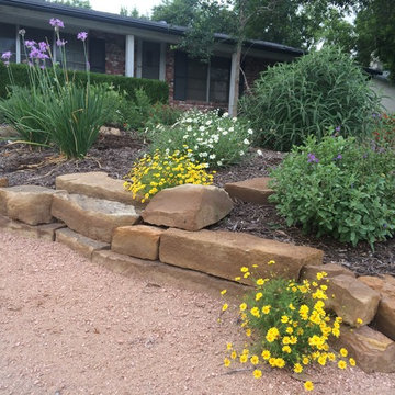 Various Xeriscapes by Team Rhinamic