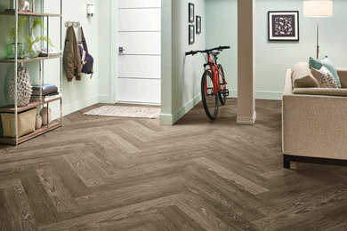Mid-sized transitional dark wood floor and brown floor entryway photo in Vancouver with blue walls and a white front door