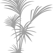 Cariñena
