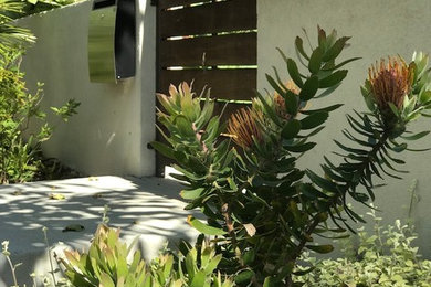 Expansive contemporary garden in Los Angeles.