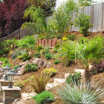 Premier Landscape Design