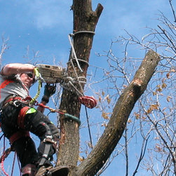 Tree Removal - Outdoor Products