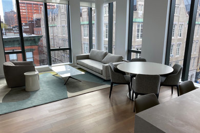 Example of a living room design in New York