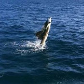 Teresa Cates's photo