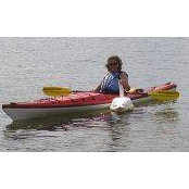 Barbara Kanner's photo