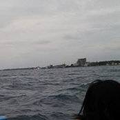 Angelique Violan's photo