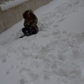 Ahed Nasereddin's photo