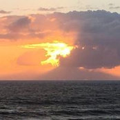 Michael Downer's photo