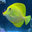 Current Aquatics LLC