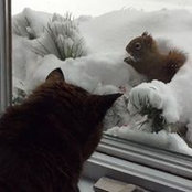 Foto von Lili Courcy