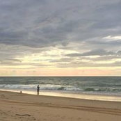 Jill Borrie's photo