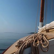Barb Worth's photo