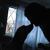 Anne Yacovitch's photo