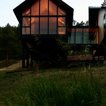 Pine Tree House