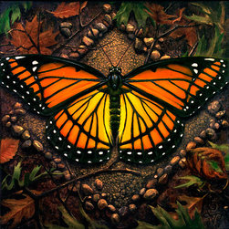 Earth: Viceroy Butterfly - Fine Art Prints