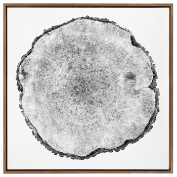 Sylvie Tree Ring Framed Canvas by Emiko and Mark Franzen of F2Images, Gold 30x30