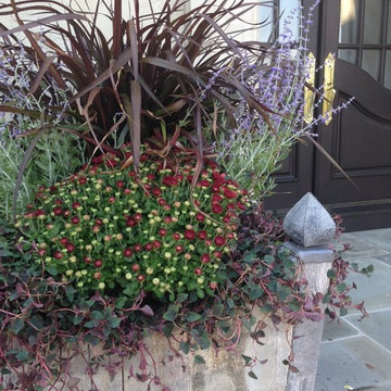 Container Gardens