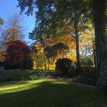 Park Garten