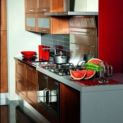 Designer Range Hoods - "Magnus" Series - Range Hoods And Vents