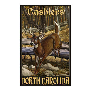 Paul A Lanquist Banner Elk North Carolina Whitetail Art Print