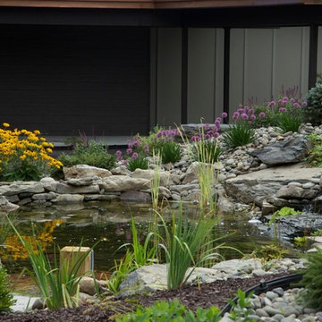 Stream and Koi Pond