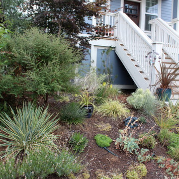 Portland urban front garden