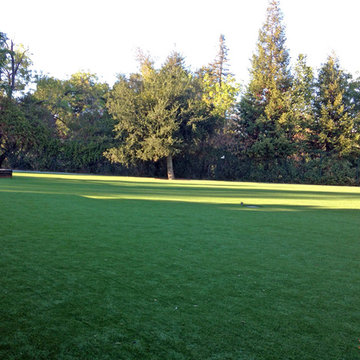 Global Syn-Turf artificial grass in Woodside, CA