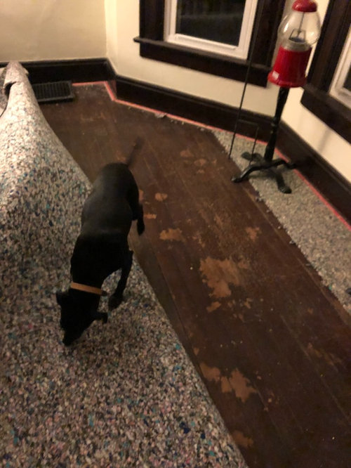 Hardwood under my carpet!