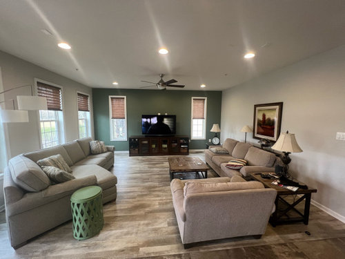 Paint 2nd wall BM Lush AF-475? | Houzz Forum