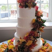 Debbie LaCrosse's photo