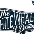 White Whale of Destin's profile photo