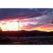 Donna Saulka's photo