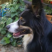 Tonya Reitzs foto