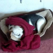 Deborah Meinert's photo