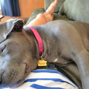 Kristen Sterna's photo