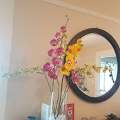 rita ayllon's photo