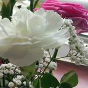 Huda Alkallaly's photo