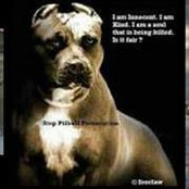 Angko Cheong's photo