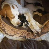 Nancy Tuthill's photo