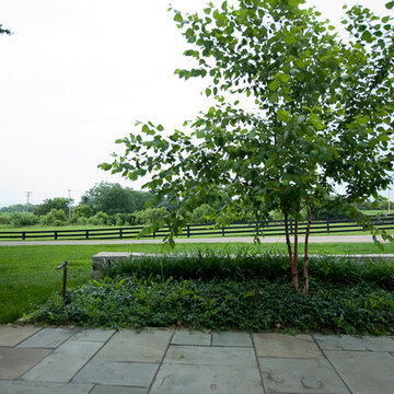 Equestrian Farm