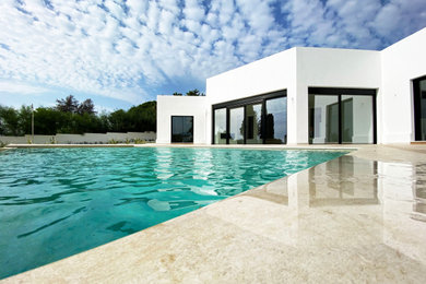 Diseño de casa de la piscina y piscina infinita actual pequeña rectangular en patio delantero con suelo de baldosas