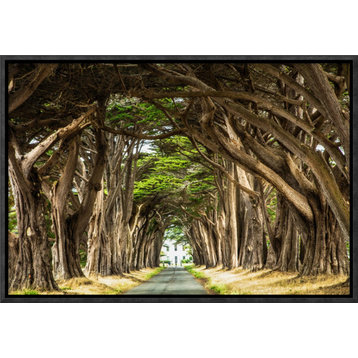 "Cypress Trees" by European Master Photography, 17"x12"