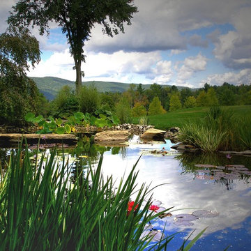 Ponds and Waterfalls