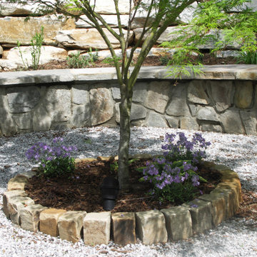 Ornamental Tree with Plantings in Center of Patio