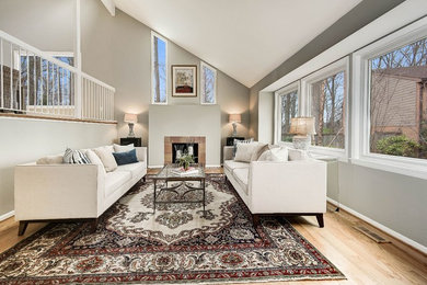 Example of a trendy living room design in DC Metro
