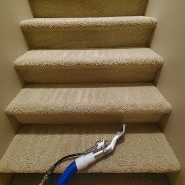 Steam Cleaning of the Carpet on the Stairs for New Years Located in White Rock B
