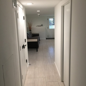 Del Ray Basement