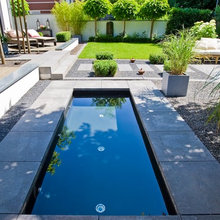 Landscape Ideas