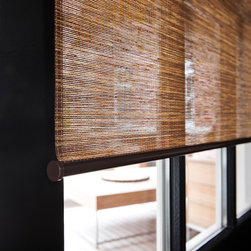 Natural Light Filtering Roller Shades - Window Treatments